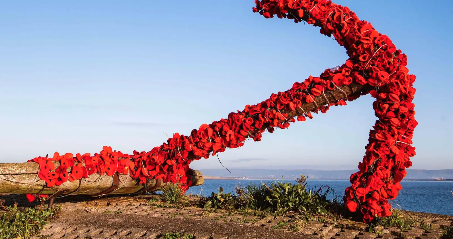 Poppies around wooden anchor 